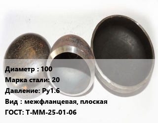 Заглушка стальная 100 Сталь: 20 Ру1.6 межфланцевая, плоская ГОСТ: Т-ММ-25-01-06, шт, с рукояткой цена от 4516 Тг / шт, где купить, условия доставки в Актау и Мангистауской области
